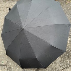ワンタッチ、大き目の折り畳み傘、決まりました