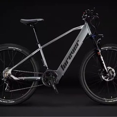 定型文は返事しません　新品未使用　E-bike フル電動自転車・...