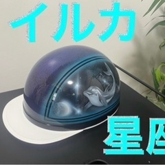 【ネット決済・配送可】イルカ カスタム塗装 ヘルメット 新品未使用