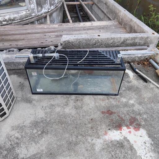 90cm水槽