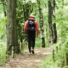 【どなたでも歓迎】8/27、京都近郊の山へハイキングしませんか？😌