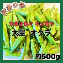 完売！訳あり 大きさ不揃い キズあり オクラ たっぷり 約500g