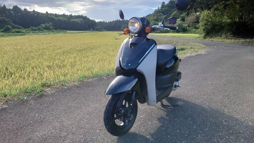 ホンダ　トゥデイAF67　走行4197キロ