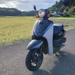 ホンダ　トゥデイAF67　走行4197キロ