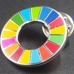 SDGs ピンバッジ 20mm  50個　全部