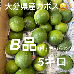 大分県杵築市産カボスB品