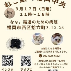 9/17 ねこ組福岡中央譲渡会　なな。猫達のための病院