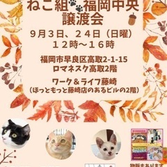 9/24 ねこ組🐾福岡中央譲渡会in藤崎