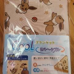 新品 イーブイ ポケモン COOL ブランケット リバーシブル