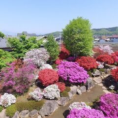 【造園スタッフ／群桐HD】植木の消毒、手入全般