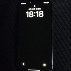 iPhone 12 Pro