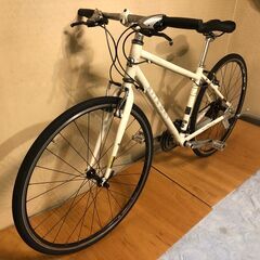 ライトウェイ　シェパード