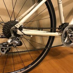 ライトウェイ　シェパード