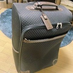 スーツケース　キャリーケース　ドット　機内持ち込みサイズ