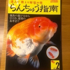 らんちゅう指南　値下げしました。