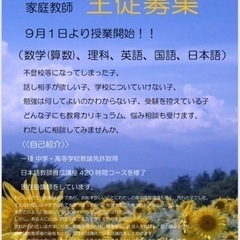 小学生、中学生の英語、数学、理科、日本語(社会人も含む)の生徒募集