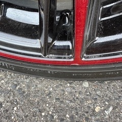 ロクサーニマグナス