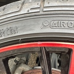 ロクサーニマグナス