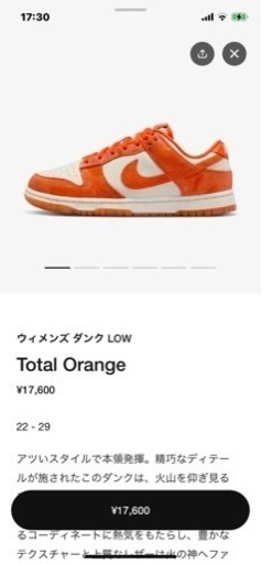 スニーカー NIKE DUNK low