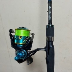 ダイワ エギング