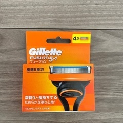 Gillette Fusion5+1 