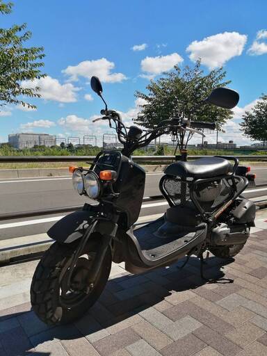 ホンダ　ZOOMER （白AF58）