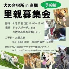 8月27日、ボランティアグループ「犬の合宿所in高槻」主催の犬の...