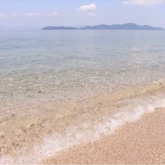 26日近江舞子で湖水浴しませんか？