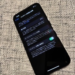 iPhone 13 Pro グラファイト 256 GB 