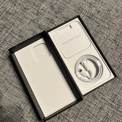 iPhone 13 Pro グラファイト 256 GB 