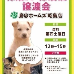 📣本日開催‼️🐈️🐈‍⬛🎉 8月26日(土)島忠ホームズ昭島店様...