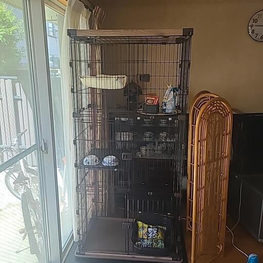 3段キャットゲージ、その他