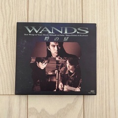 WANDSのCD