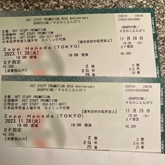 11月28日マカロニえんぴつ　GRAPEVINE ライブチケット2枚