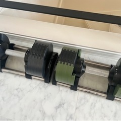 フレックスベル 20kg 2kg刻み 2個セット flexbell