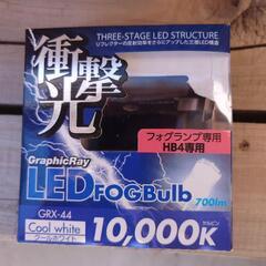 LEDフォグランプ❗