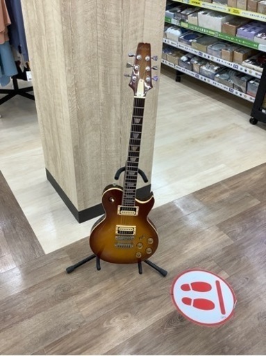 弦楽器、ギター Aria Pro 2 PE-60