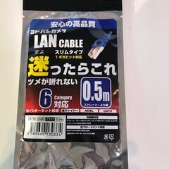 LANケーブル　カテゴリー6　ヨドバシ