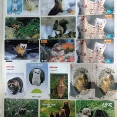 使用済 テレカ·オレンジカード 可愛い野生動物 17枚