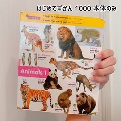 （決まりました）はじめてずかん 1000 本のみ