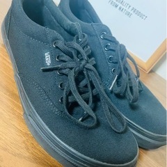 VANS /靴/黒24cm/