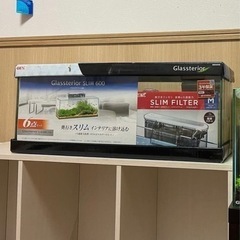 GEX グラステリア 300/600 フレームレス水槽セット