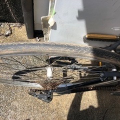 マリン(MARIN) コルトマデラ