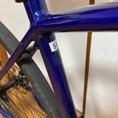 TREK domane AL2 disk サイズ54