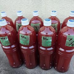 PSB(光合成細菌) 自家培養1.5L⑨