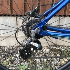 Bianchi ROMA3 ビアンキ ローマ4 ディスク