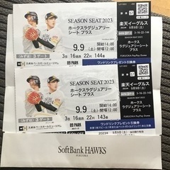 PAYPAYドーム　9月9日　ホークス　ラグジュアリーシートプラス　2枚