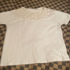白Tシャツ　