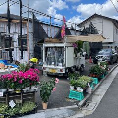 安く花売ります！！ご来店よろしくお願いします。 − 神奈川県