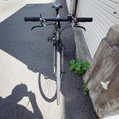 (値下げ)marine NOVATO